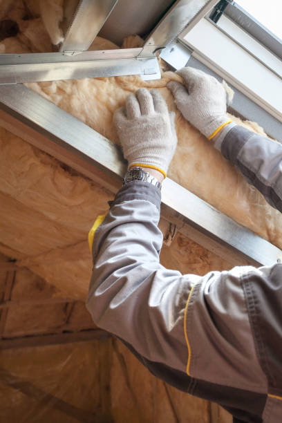 Eco-Friendly or Green Insulation Solutions in Fort Thomas, KY